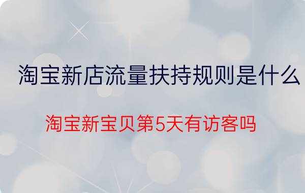 淘宝新店流量扶持规则是什么 淘宝新宝贝第5天有访客吗？